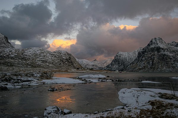 Peut-on trouver une location de vacances en Islande avec des excursions pour observer les baleines et des cours de photographie nocturne?