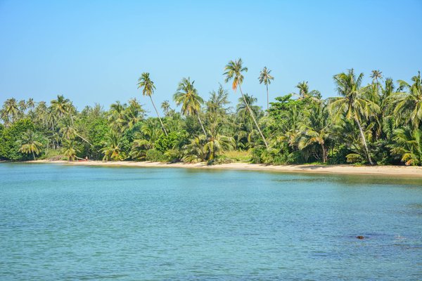Comment organiser une visite des temples bouddhistes cachés au Bhoutan?
